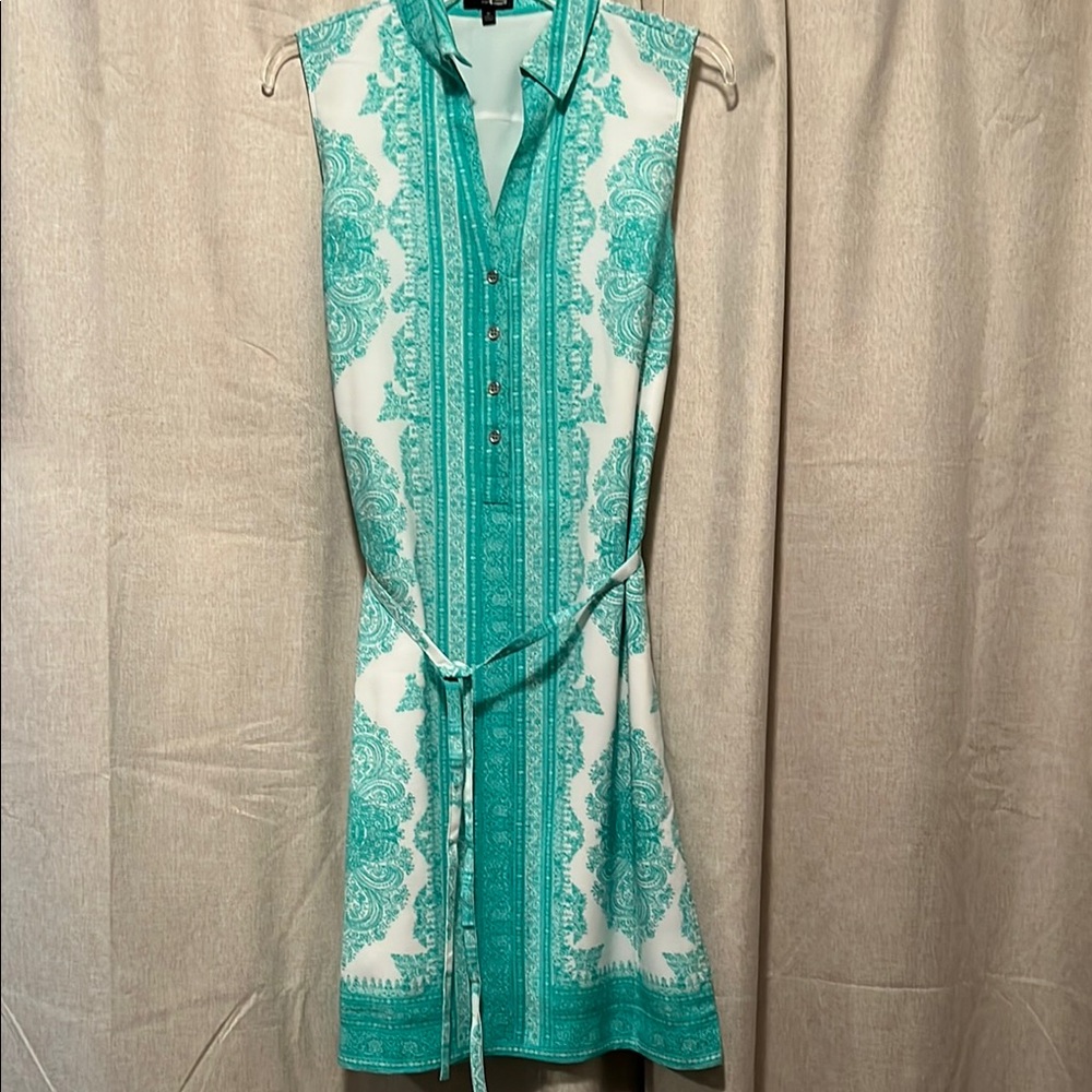 The Limited Teal and White Sleeveless Dress